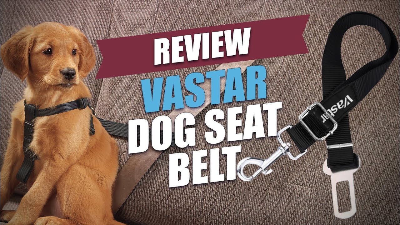 Vastar Dog Seat Belt Review (2018)
