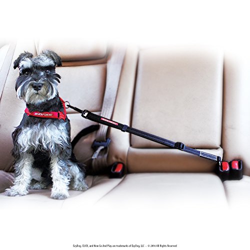 EzyDog Click – Best Dog Seat Belt Car